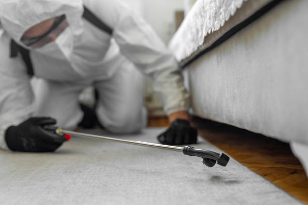Professional Bed Bug Control technician working in Harrisburg, AR